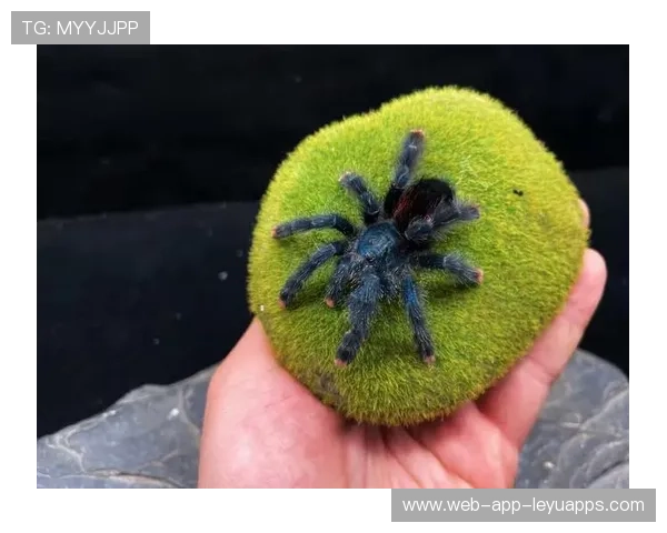 圭亚那体育设施升级提升运动水平，圭亚那有足球队吗